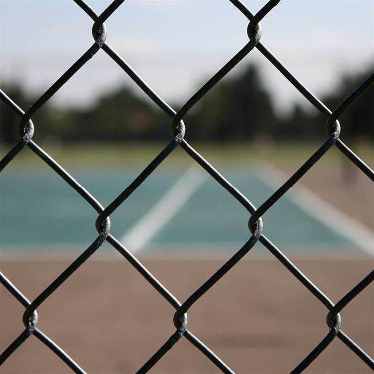 運(yùn)動(dòng)場勾花護(hù)欄圖片3 運(yùn)動(dòng)場勾花護(hù)欄圖片3